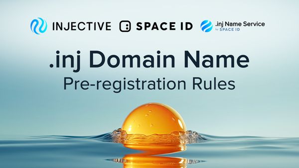 INJ Domain Name Pre-registration Rules